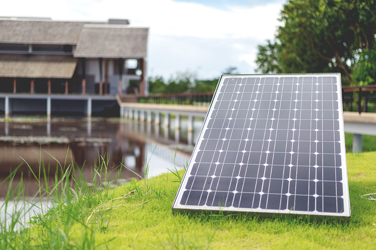 Incongruous feline nolo contendre gratuitous