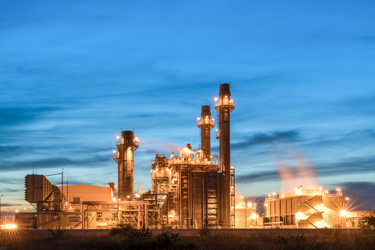 Incongruous feline nolo contendre gratuitous